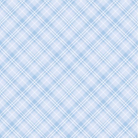 Edible Image - Blue Gingham