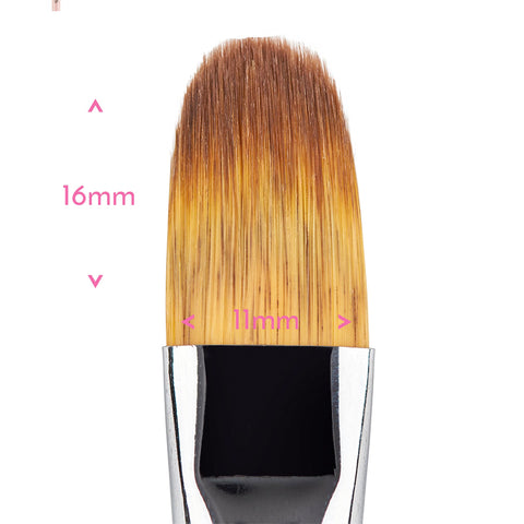 Filbert Paintbrush - #6- colour chosen at random