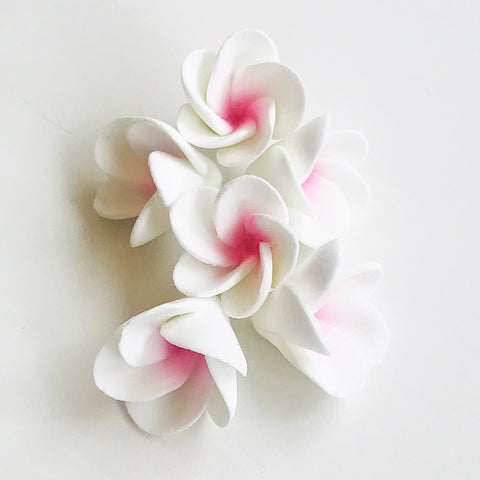Cupcake Frangipanis Small - Pink- 6pack