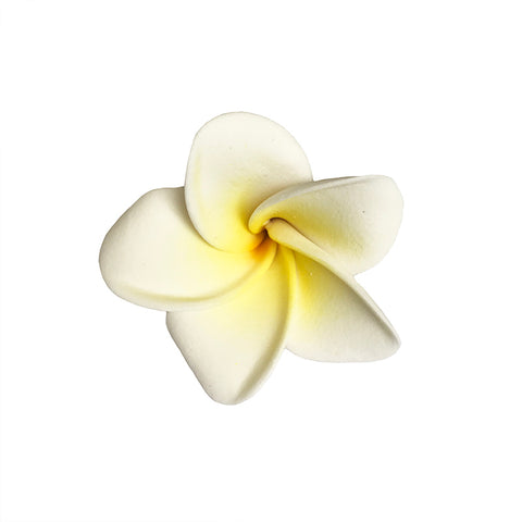 Frangipani - White and Yellow