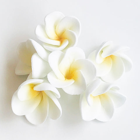 Cupcake Frangipanis Petit- Yellow- 6pack